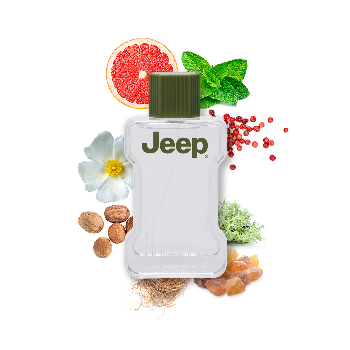 Jeep-Adventure